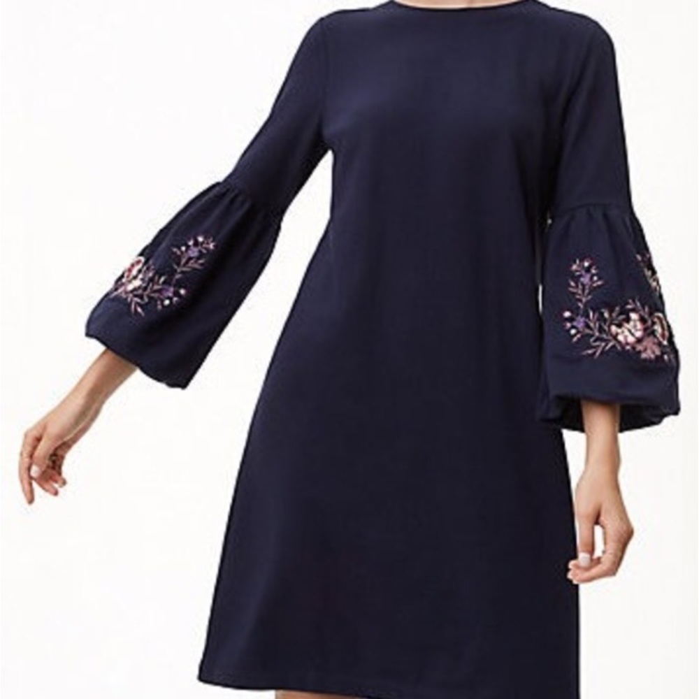 NWT Loft Navy dress with embroidered sleeves sZ M